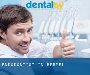 Endodontist in Bermel