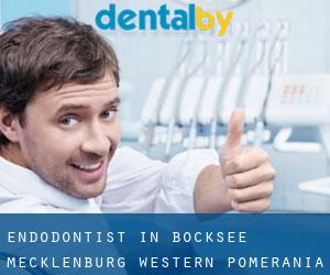 Endodontist in Bocksee (Mecklenburg-Western Pomerania)