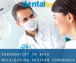 Endodontist in Boek (Mecklenburg-Western Pomerania)