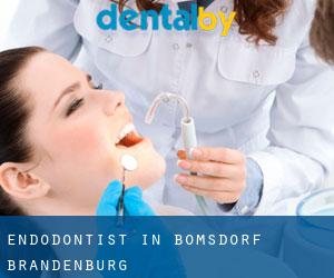 Endodontist in Bomsdorf (Brandenburg)