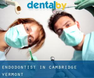 Endodontist in Cambridge (Vermont)