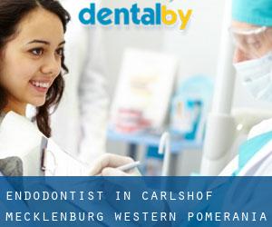 Endodontist in Carlshof (Mecklenburg-Western Pomerania)