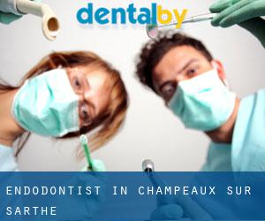 Endodontist in Champeaux-sur-Sarthe