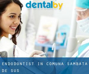 Endodontist in Comuna Sâmbăta de Sus
