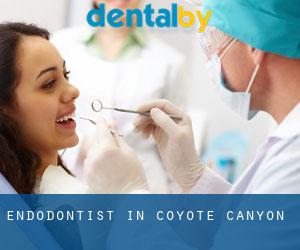Endodontist in Coyote Canyon