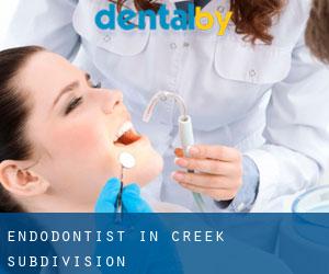 Endodontist in Creek Subdivision