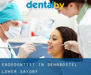 Endodontist in Dehnbostel (Lower Saxony)