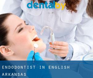 Endodontist in English (Arkansas)