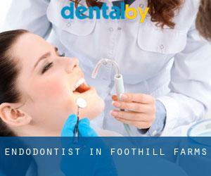Endodontist in Foothill Farms