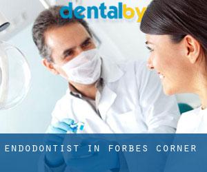 Endodontist in Forbes Corner