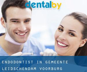 Endodontist in Gemeente Leidschendam-Voorburg
