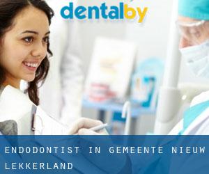 Endodontist in Gemeente Nieuw-Lekkerland