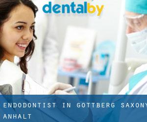 Endodontist in Gottberg (Saxony-Anhalt)