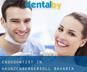 Endodontist in Haunzenbergersöll (Bavaria)