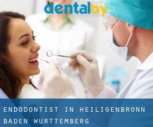 Endodontist in Heiligenbronn (Baden-Württemberg)