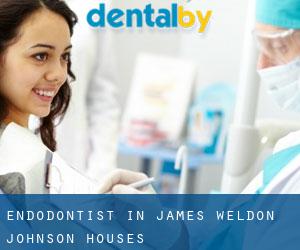 Endodontist in James Weldon Johnson Houses