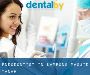 Endodontist in Kampong Masjid Tanah