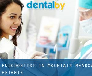 Endodontist in Mountain Meadow Heights
