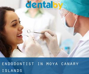 Endodontist in Moya (Canary Islands)