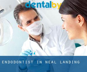 Endodontist in Neal Landing