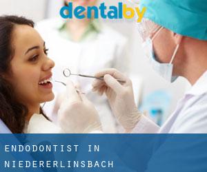 Endodontist in Niedererlinsbach