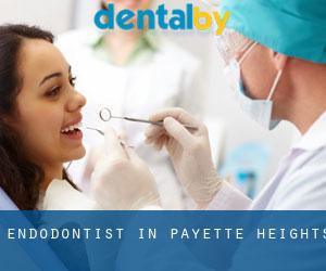 Endodontist in Payette Heights