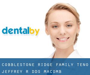 Cobblestone Ridge Family: Teno Jeffrey R DDS (Macomb)