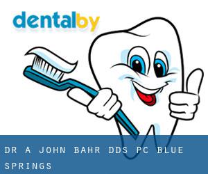 Dr. A John Bahr, DDS, PC (Blue Springs)