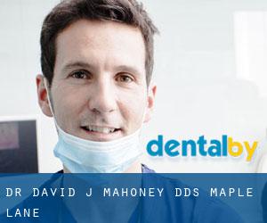 Dr. David J. Mahoney, DDS (Maple Lane)