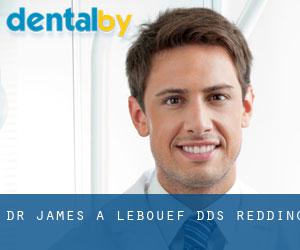Dr. James A. Lebouef, DDS (Redding)