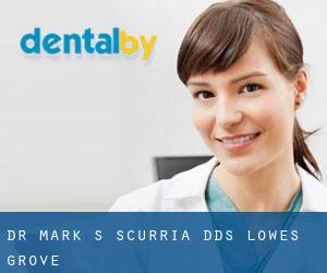 Dr. Mark S. Scurria, DDS (Lowes Grove)
