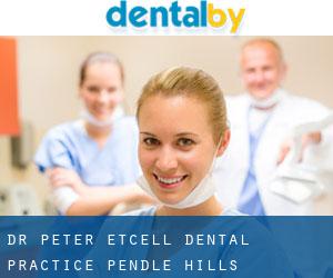 Dr Peter Etcell Dental Practice (Pendle Hills)