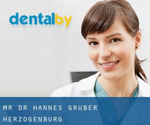 Mr. Dr. Hannes Gruber (Herzogenburg)
