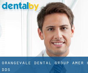 Orangevale Dental Group: Amer H DDS