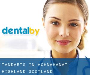 tandarts in Achnahanat (Highland, Scotland)