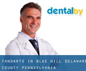tandarts in Blue Hill (Delaware County, Pennsylvania)