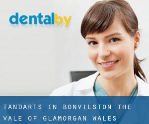 tandarts in Bonvilston (The Vale of Glamorgan, Wales)