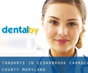 tandarts in Cedarbrook (Carroll County, Maryland)