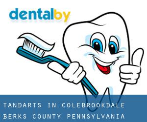 tandarts in Colebrookdale (Berks County, Pennsylvania)