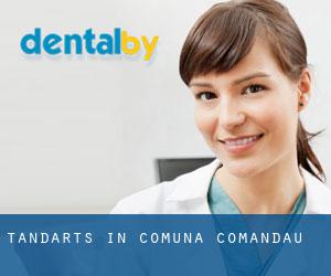 tandarts in Comuna Comandău