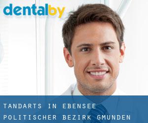 tandarts in Ebensee (Politischer Bezirk Gmunden, Upper Austria)