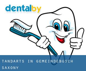 tandarts in Gemeindebusch (Saxony)