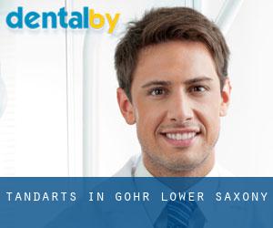 tandarts in Göhr (Lower Saxony)
