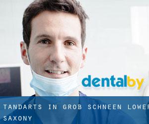 tandarts in Groß Schneen (Lower Saxony)