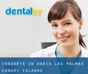tandarts in Haría (Las Palmas, Canary Islands)