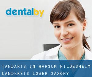 tandarts in Harsum (Hildesheim Landkreis, Lower Saxony)
