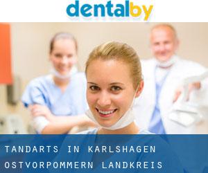 tandarts in Karlshagen (Ostvorpommern Landkreis, Mecklenburg-Western Pomerania)