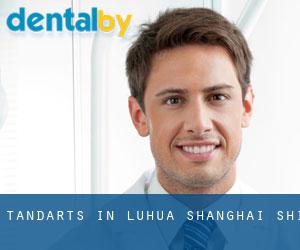 tandarts in Luhua (Shanghai Shi)