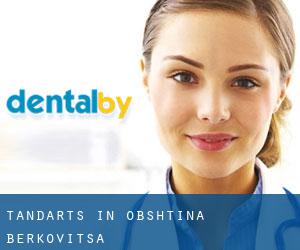 tandarts in Obshtina Berkovitsa