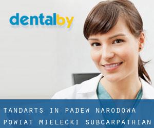 tandarts in Padew Narodowa (Powiat mielecki, Subcarpathian Voivodeship)
